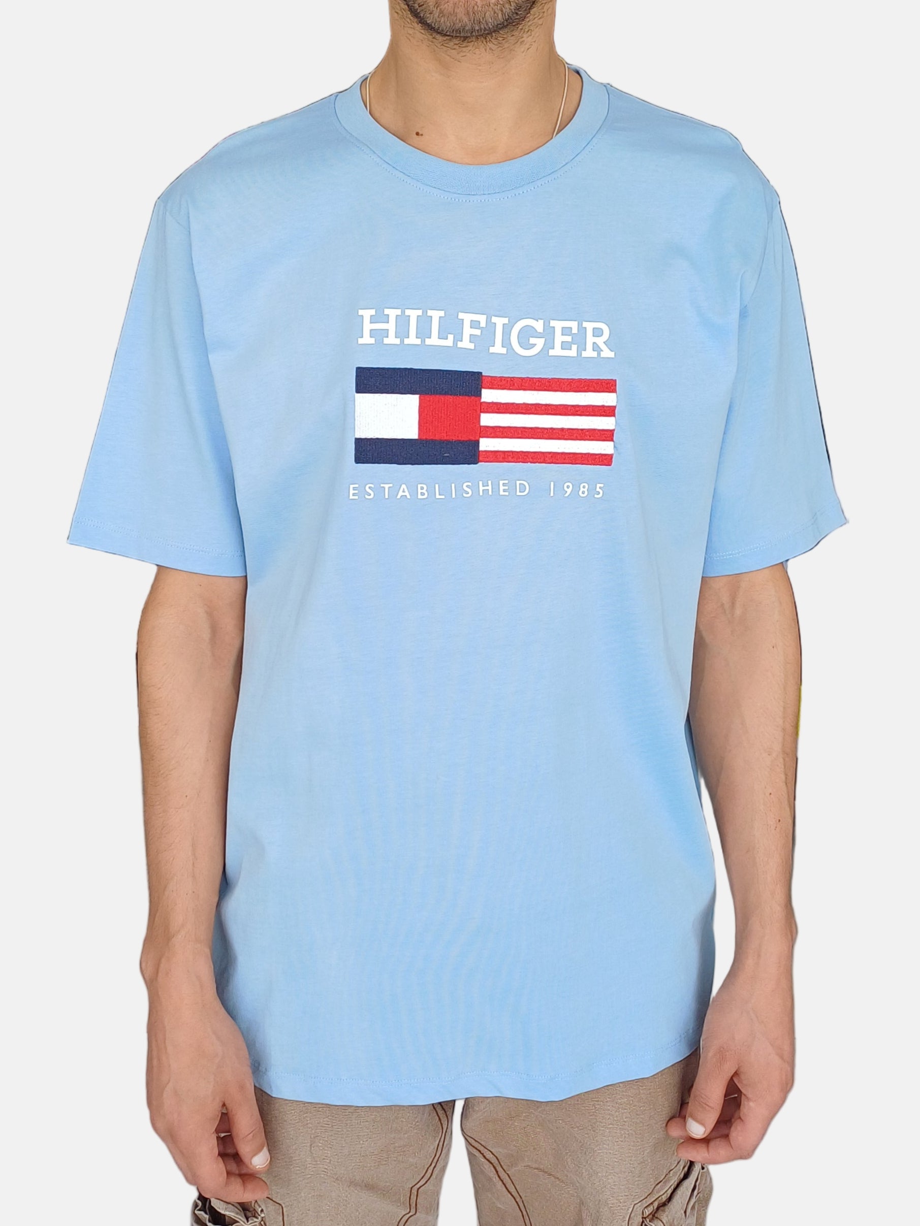 Tommy Hilfiger T-Shirt Round Neck Blue 485130