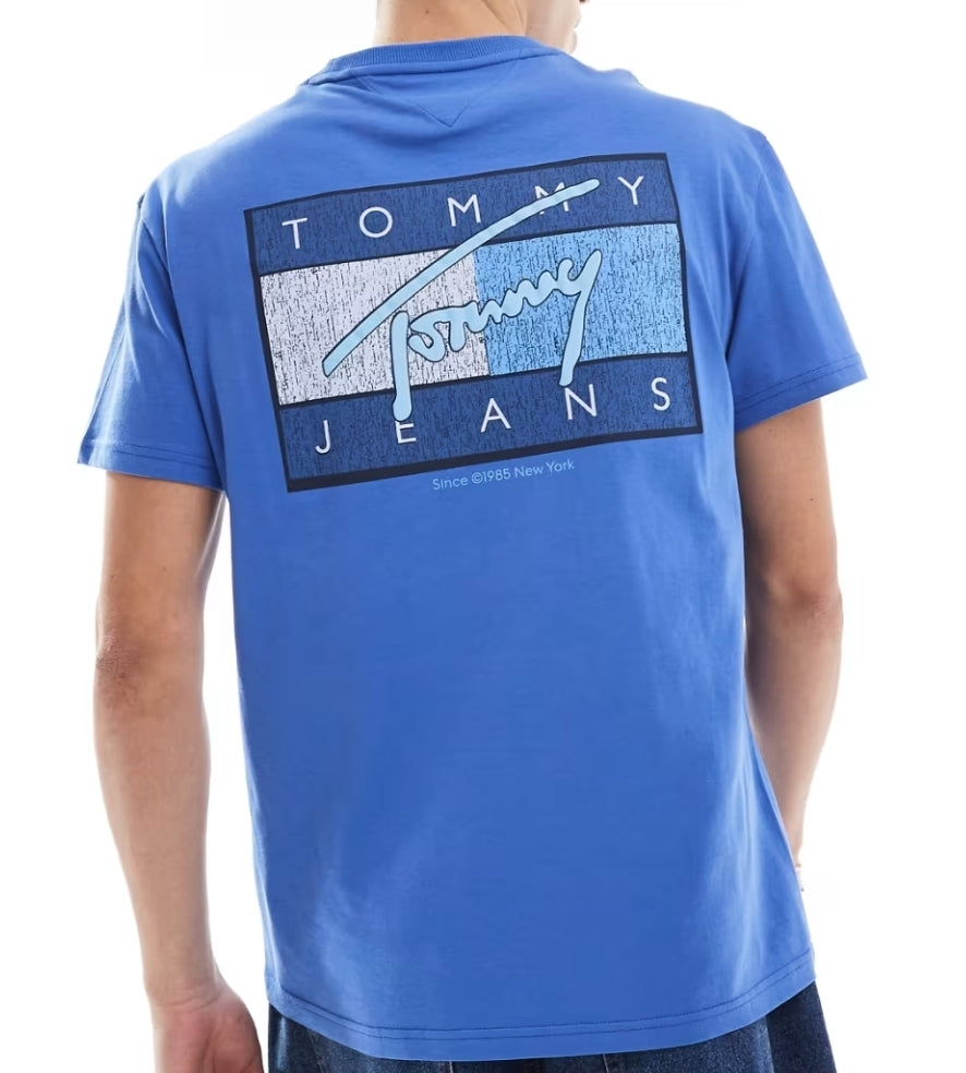 Tommy Jeans T-Shirt Round Neck Blue DM2004