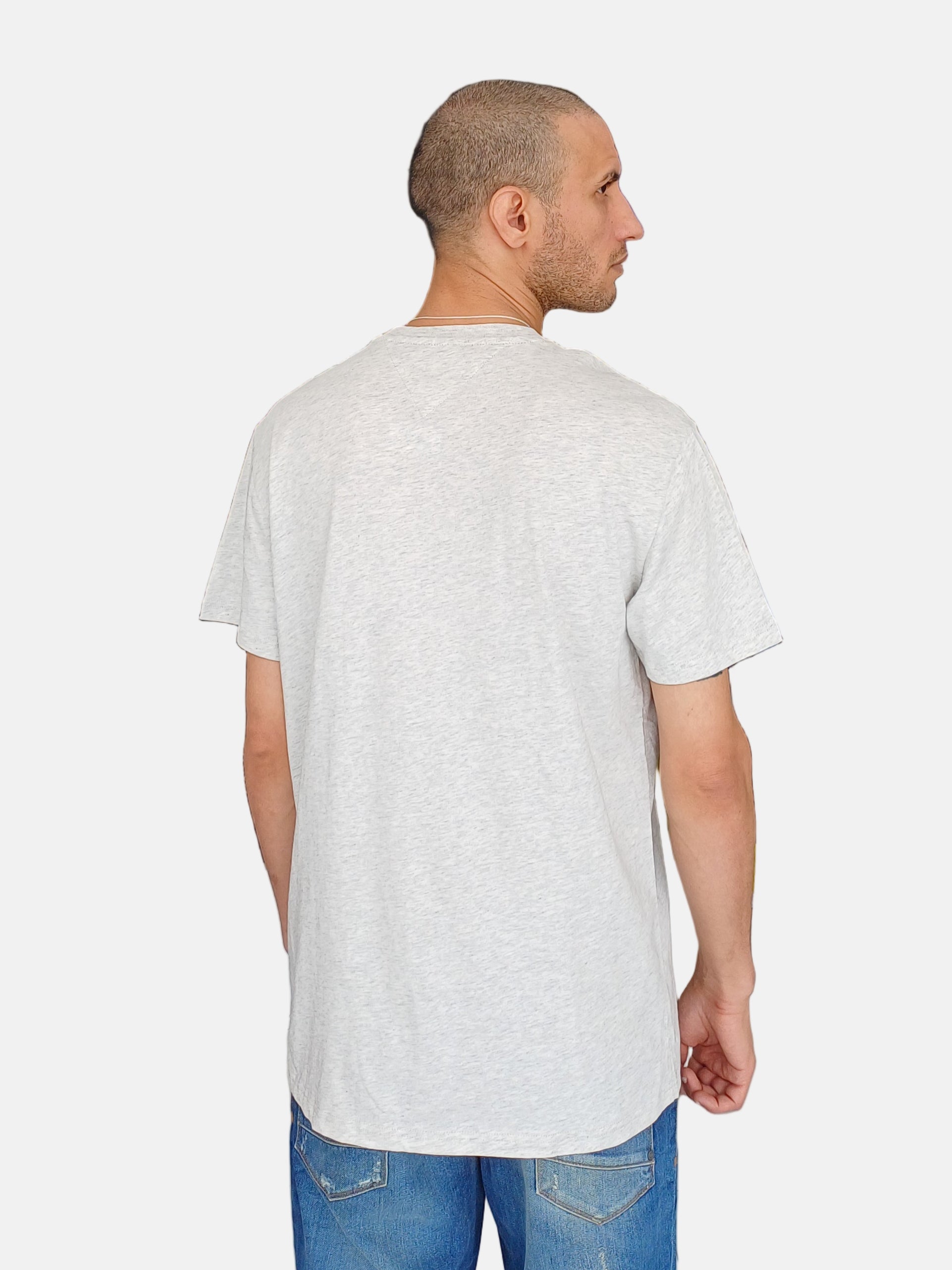 Tommy Jeans T-Shirt Round Neck Light Grey DM21780